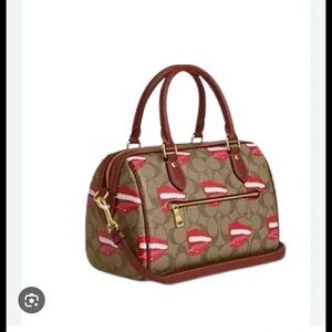 Coach X Tom Wesselmann Rowan bag